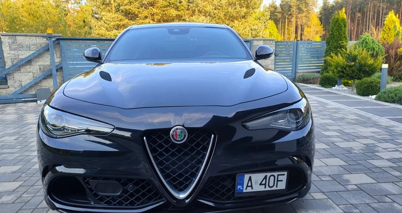 Alfa Romeo Giulia cena 205000 przebieg: 25000, rok produkcji 2017 z Ostrołęka małe 704